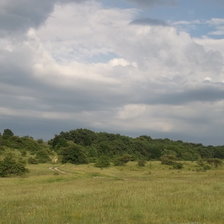 Схема вышивки «Поле»