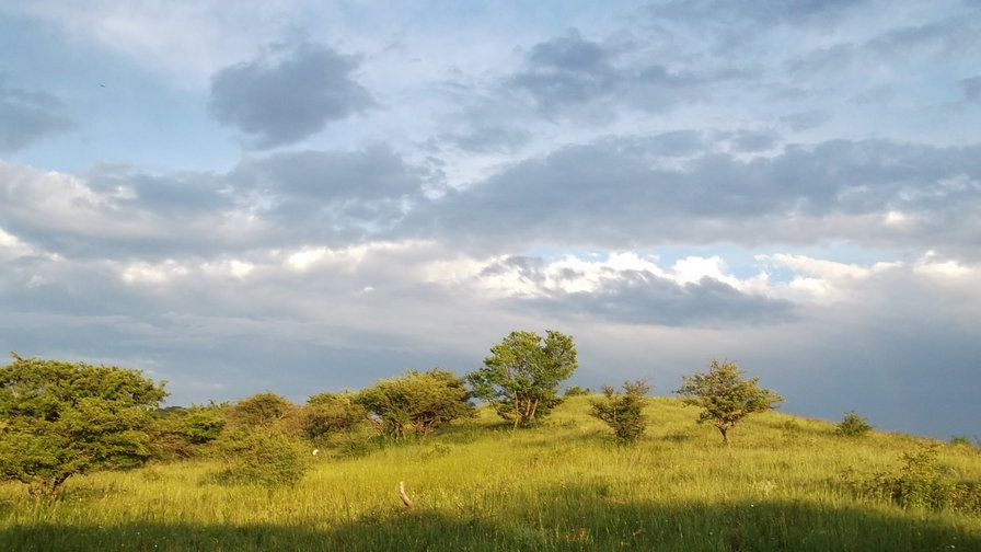 Поле2 - оригинал