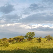 Схема вышивки «Поле2»