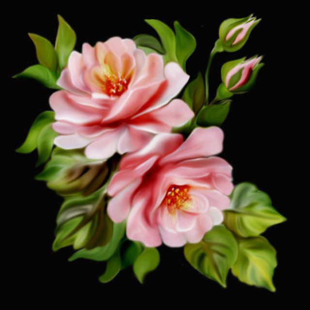 розы на черном фоне - цветы - оригинал