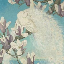 Схема вышивки «белые павлины 2»