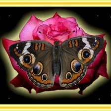 Схема вышивки «№19655»