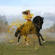 Схема вышивки «Девушка на коне»