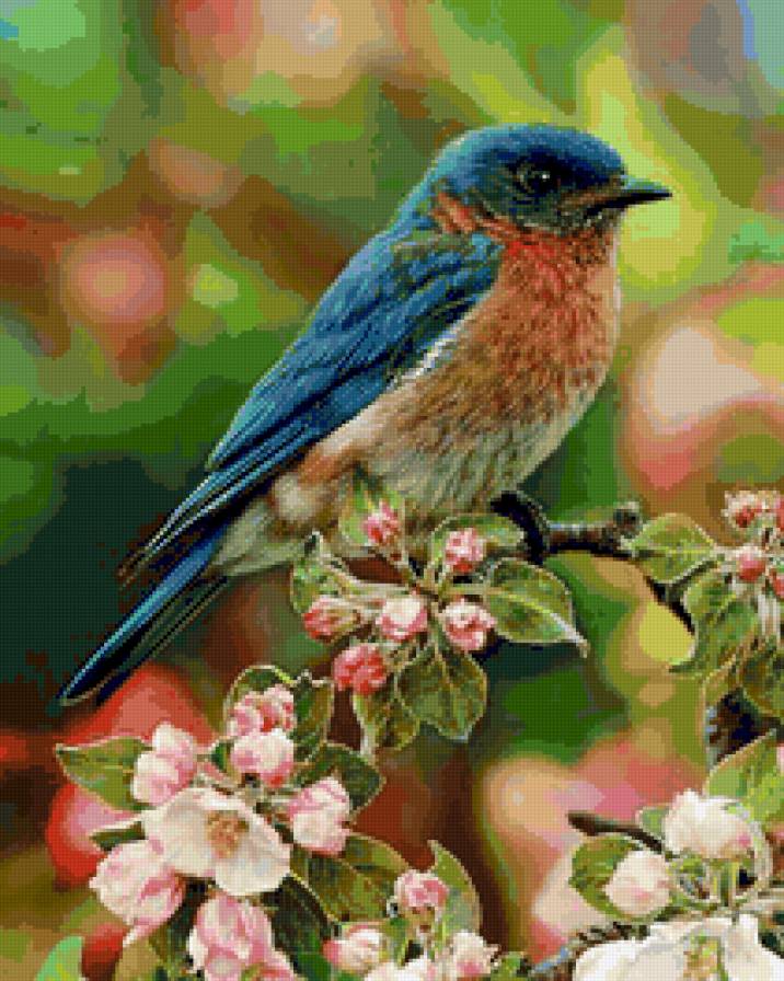 №19876 - предпросмотр