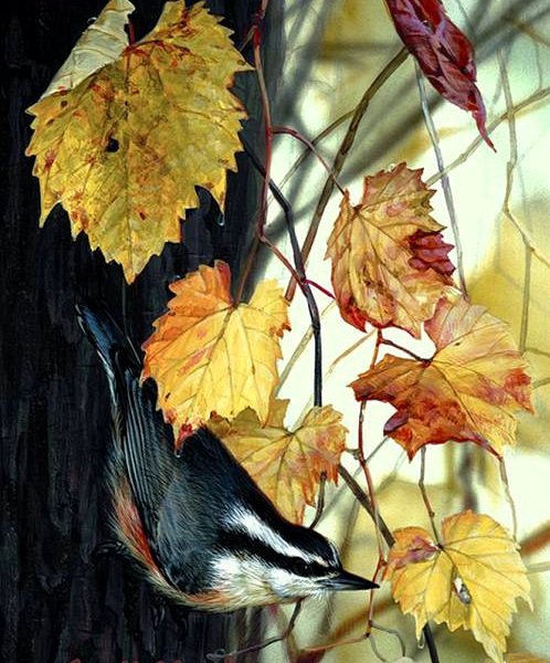 №19883 - оригинал