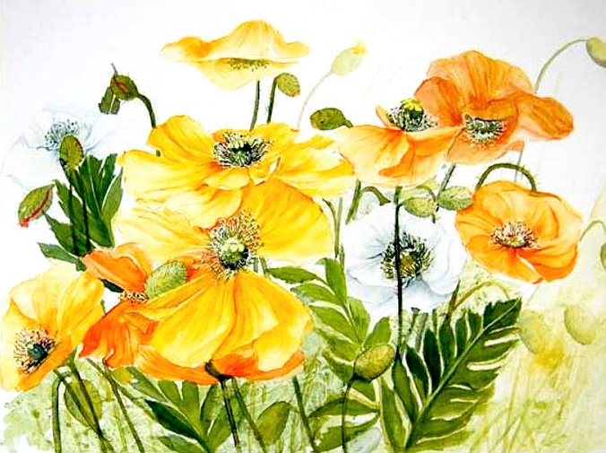 №19963 - оригинал