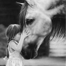 Схема вышивки «№20056»