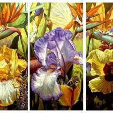 Схема вышивки «№20124»