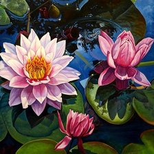 Схема вышивки «№20230»