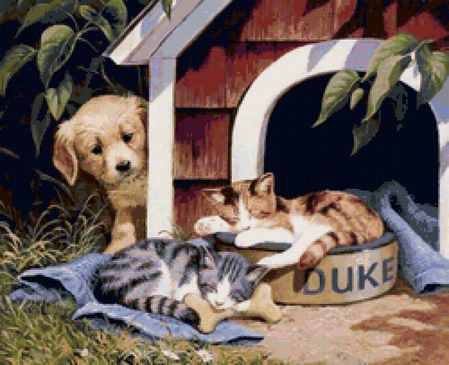 №20302 - друзья, кошки, животные, собаки - предпросмотр