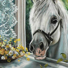 Схема вышивки «№20488»