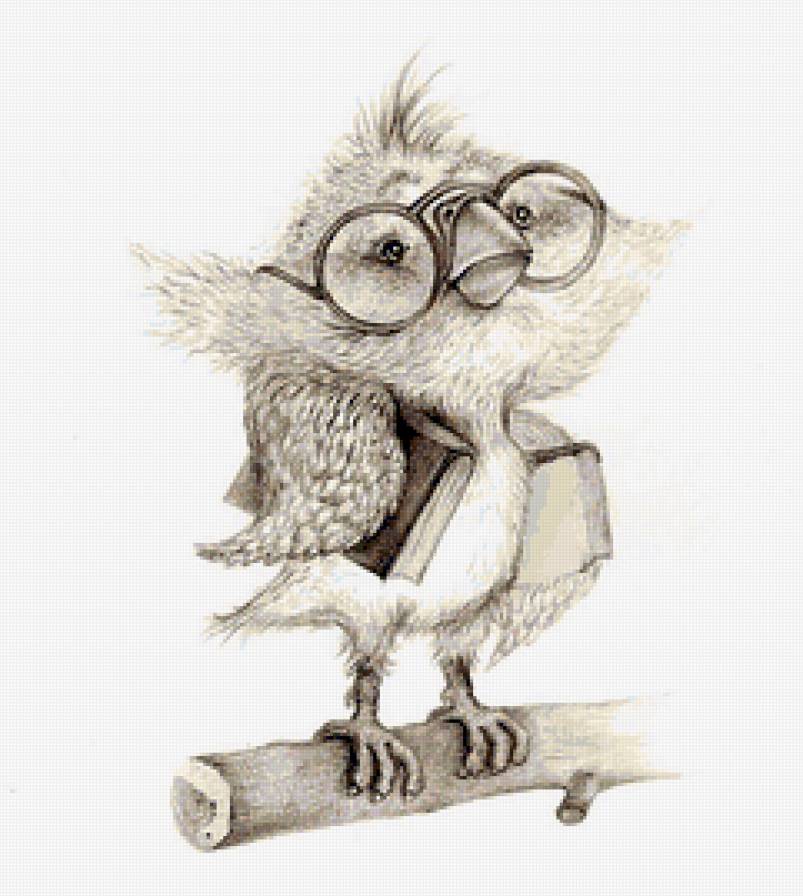 №20500 - предпросмотр