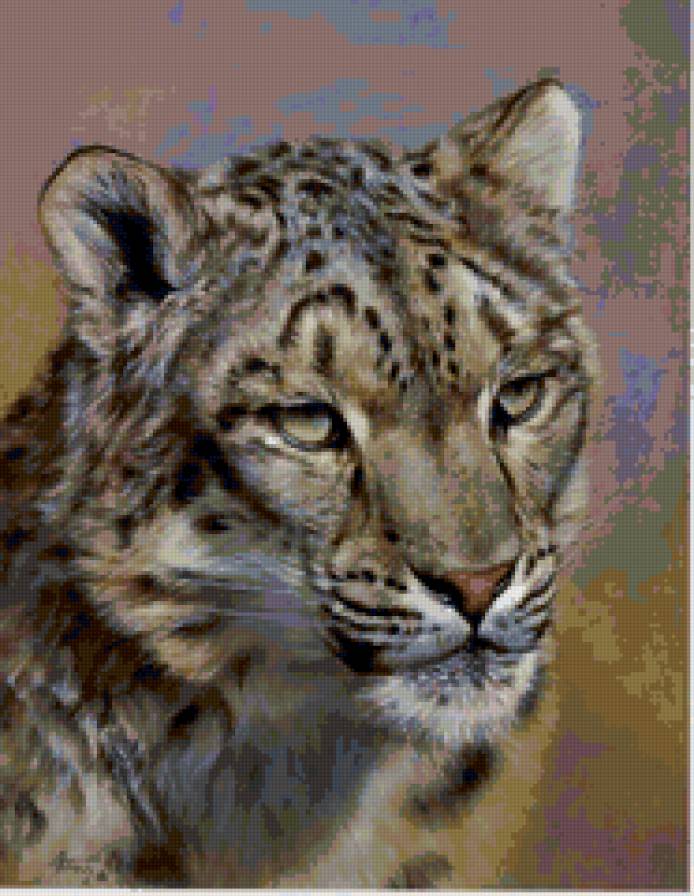 №20636 - кошки, животные - предпросмотр