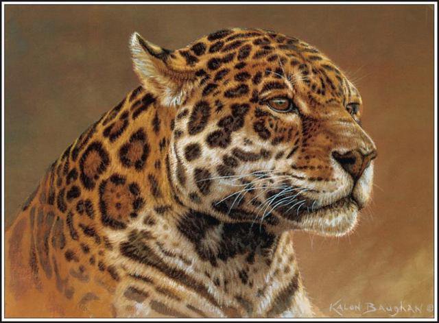 №20637 - кошки, животные - оригинал