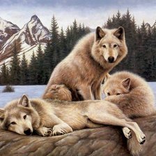 Схема вышивки «№20700»