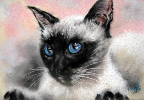 Кот - животные, кошки - оригинал