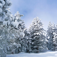 Схема вышивки «зимушка»
