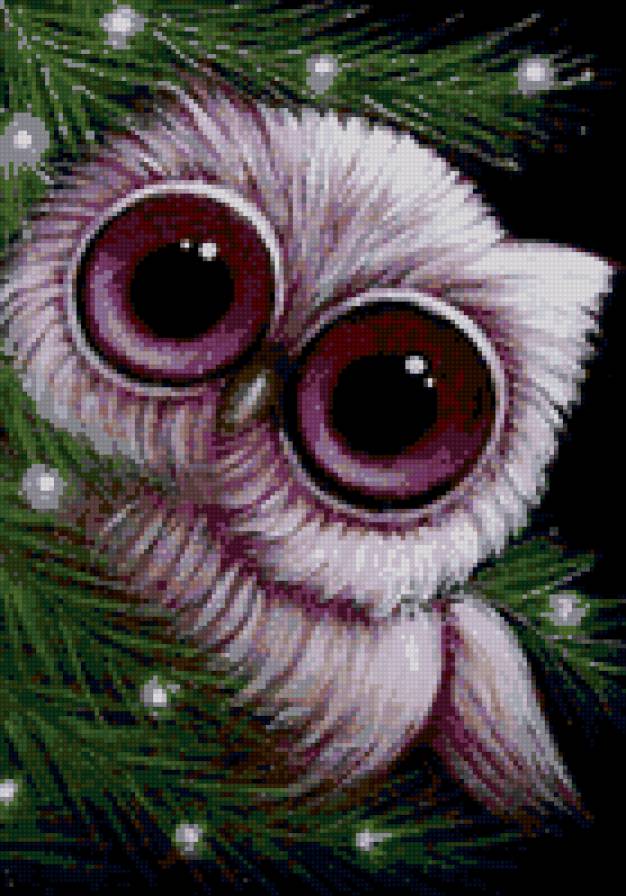 Сова - животные, сова - предпросмотр