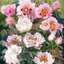 Схема вышивки «пионы»