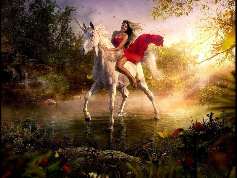 № 65468798 - девушка на коне, девушка, лошадь, природа - оригинал