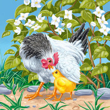 Схема вышивки «под крылом»