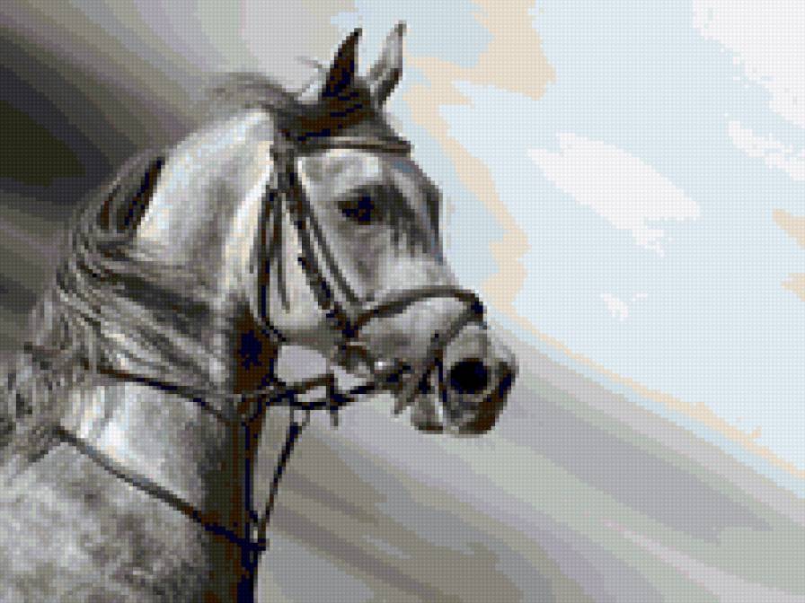 конь - лошадь - предпросмотр