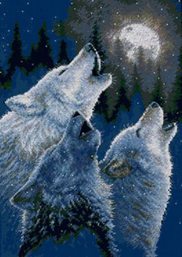 волчья песня - животные - предпросмотр