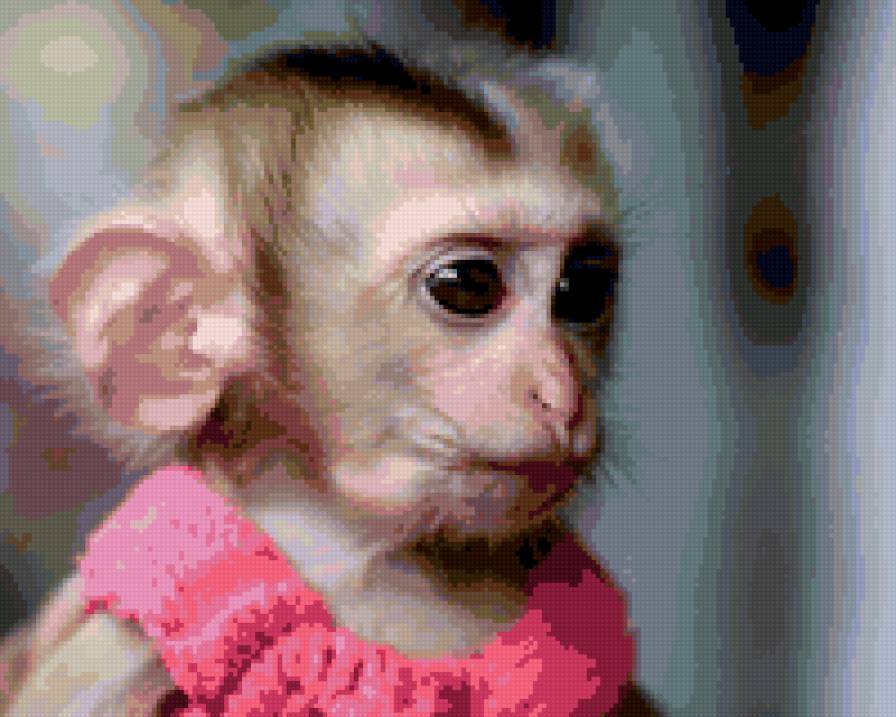 Обезьянка в розовом - обезьянка - предпросмотр