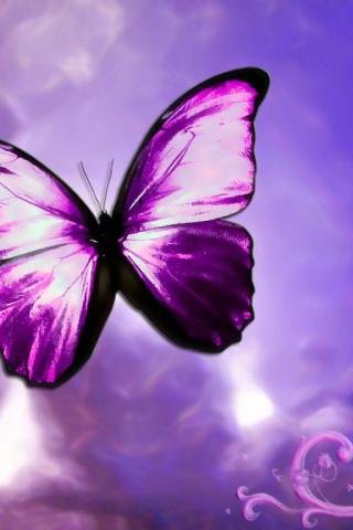 №21530 - оригинал