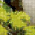 Предпросмотр схемы вышивки «0005» (№21608)
