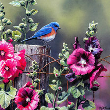 Схема вышивки «птичка и мальвы»