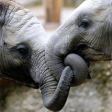 Схема вышивки «дружба»