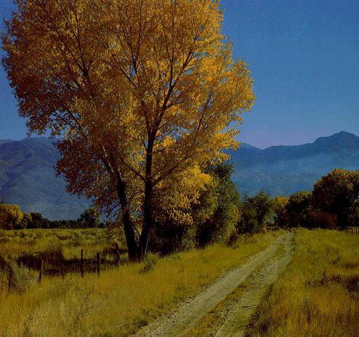 дорога - оригинал