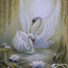 Схема вышивки «Лебединная пара»