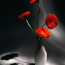 Схема вышивки «Цветы»