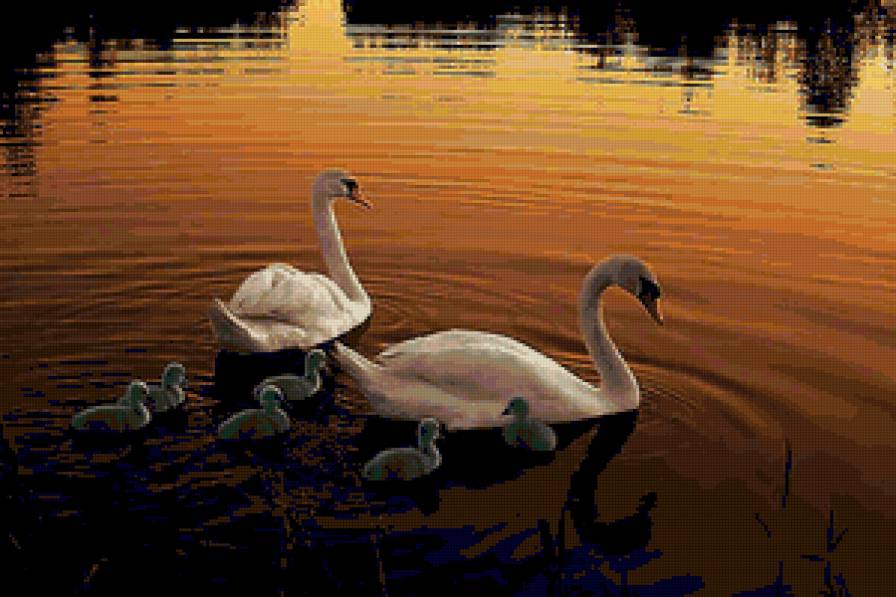 на закате - животные - предпросмотр