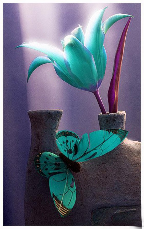 №674576687 - бабочка, абстракция - оригинал