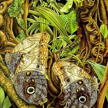 Схема вышивки «Бабочки3»