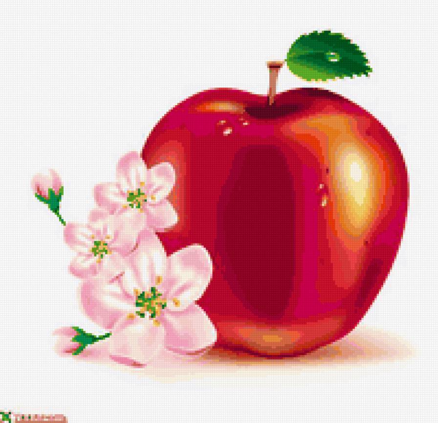 №22402 - предпросмотр