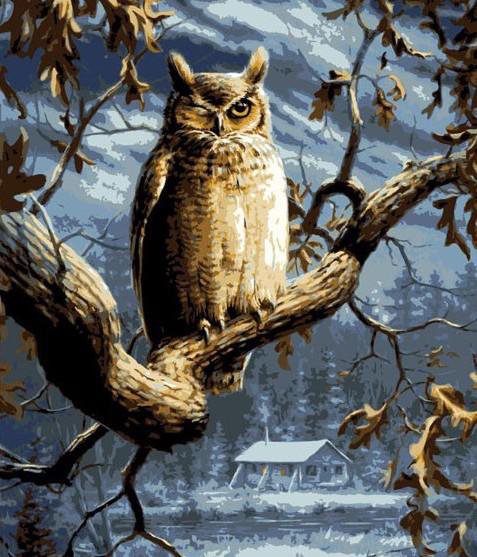 Ночной страж - ночь, природа, пейзаж, птицы - оригинал