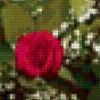 Предпросмотр схемы вышивки «букет» (№22586)