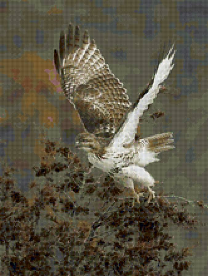 №22673 - предпросмотр