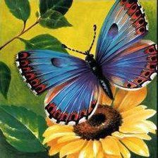 Схема вышивки «Серия "Бабочки"»