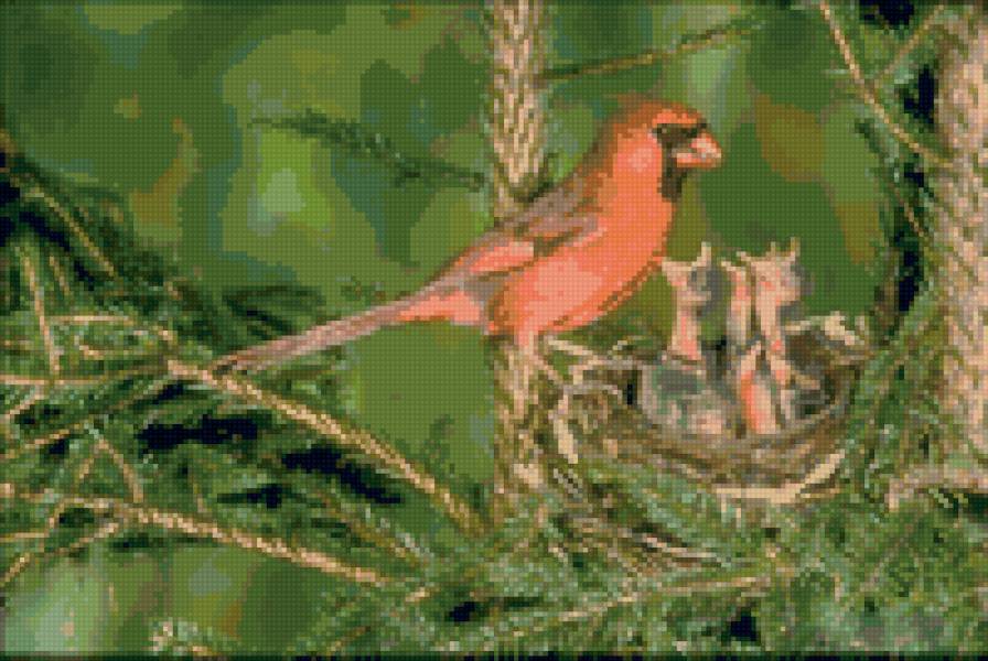 №22761 - птицы - предпросмотр