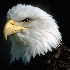 Схема вышивки «№22981»