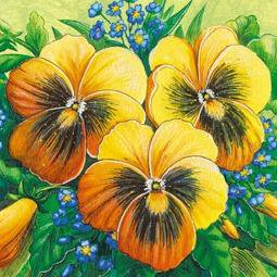 Серия "Букет" - букет, виола, цветы, фиалки, анютины глазки - оригинал