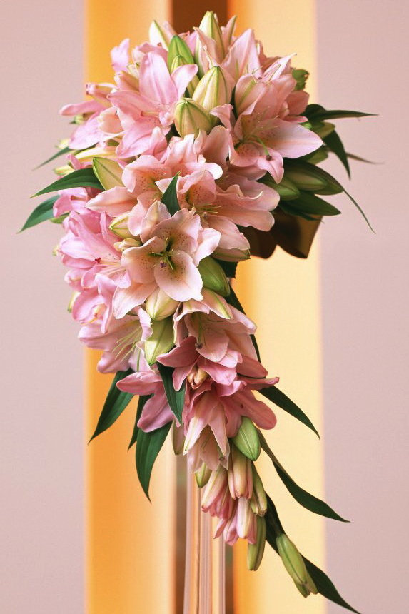 нежные лилии - цветы - оригинал