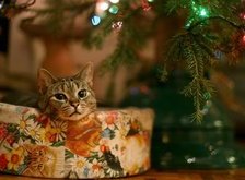 Схема вышивки «С новым годом!»