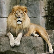 Схема вышивки «Царь»