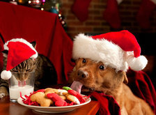 Схема вышивки «С новым годом»